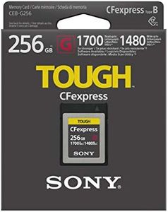 SONY Cfexp