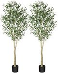CROSOFMI Artificial Olive Tree Plan