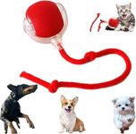2025 New Electric Dog Ball Toy,Elec