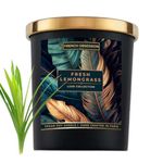 French Obsession Scented Candles for Home Decor, Bedroom| Scented Candle Gift Set for Wife,Girl| 560 gm| Burn 60+ Hrs | Aroma Therapy Candles| Fragrance Candles for Home | Lemon Grass Scent