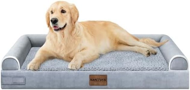 Large Dog 