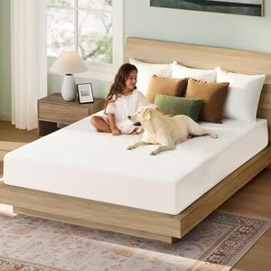 Rolanstar Twin Gel Memory Foam Mattress, 8 Inch