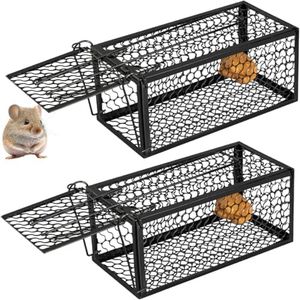 2 Pack Ani