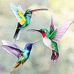3 Pairs Hummingbird Screen Door Mag