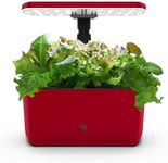 AeroGarden Harvest Lite in Cherry R