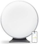 IQAir Atem X Smart Air Purifier for