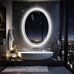 Wisfor LED Lightd Bathroom Mirror, 20 X 28 Inch Oval Illuminated Wall Vanity Mirror with Anti-Fog 3 Lighting Modes Memory Function Touch Button Backlit Makeup Mirror, IP56 Rated