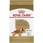 Royal Canin Cocker Spaniel Adult Dr