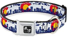 Buckle-Down Seatbelt Buckle Dog Col