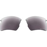 Oakley unisex adult Aoo9295ls Flak 2.0 Replacement Sunglass Lenses, Prizm Daily Polarized, 59 mm US