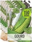 Seed Needs Luffa Seeds for Planting - Non-GMO, Heirloom & Untreated - Organically Grow Loofah Sponges Outdoors in a Home Grown Garden (5 Packs)