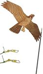 Jackite Peregrine Falcon Kite Package