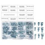 T.K.Excellent Hex Bolts M6 M8 M10 and Hex Nuts and Washers Set Kit,128 Pcs