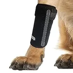 Dog Canine Front Leg Brace Wrap, Pa