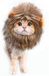 oxe Lion Mane Wig for Cat Costume