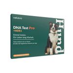 vetevo Dog DNA Test for Breed Identification Including MDR1 Genetic Defect, Genetic Test for 400+ Dog Breeds, Easy to Use, Precise Results with App