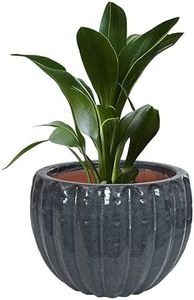 Sunnydaze 10" Round Ceramic Plant Pot Set - Features 1 Drainage Hole - 1.18-Gallon Soil Capacity - Black Mist - Set of 2