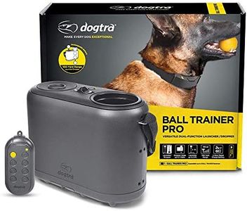 Dogtra Bal