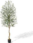 GarveeHome Olive Trees Artificial Indoor, 7FT Tall Olive Tree Plants, Faux Olive Tree with Realistic Trunk, Leaves, Fruits for Home Office Decor