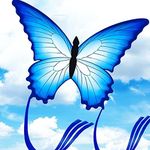 Touch the sky Huge Butterfly Kite f