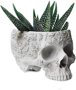 Skull Plan