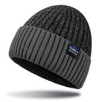 Beanie Hats for Men - Fleece Lined Winter Hats Knitted Cuffed Skullies Warm Thick Slouchy Skull Caps for Outdoor (Grey)