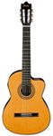 Ibanez GA6CE - AM, 6 -Strings Acoustic Guitar, Right-Handed, Amber High Gloss, Rosewood Fretboard