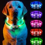 Dog Collar Light for The Dark, Silicone Collar Flashing Led Light for Pets- USB Rechargeable - Makes Your Dog Visible (5 Colors)