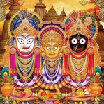 TULIP N TURTLE Jagannath Swamy DIY Acrylic Paint by Number Kit for Adults Kids Beginner Number Painting kit DIY Canvas Painting by Number. Wall Decoration DIY Painting kit for Adults