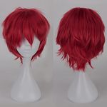 Unisex Short Cosplay Full Wigs Natural Layer Straight Hair Anime Costume Party Wig Fancy Dress for Women Men Boy Girls (Dark Red)