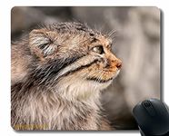 YENDOSTEEN Gaming Mouse Pad Custom,Pallas Pallas Cat Muzzle 81784 Non-Slip Rubber Base Mousepad