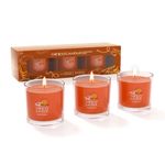 TRINIDa Autumn Candle Gift Set, 3 Pack 60 g Scented Candles Gifts for Women, Apple & Cinnamon Candle with 45 Hours, Orange Halloween Candle (Autumn Limited Edition)