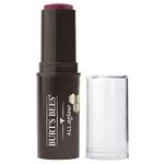 Burt's Bees All Aglow Lip And Cheek Stick, 8.5 g, Lilac Lagoon