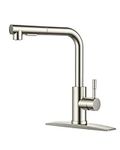 FORIOUS Kitchen Faucets with Pull D