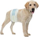 BV Dog Diapers Male Medium (Waist 13-23in) Super Absorbent - 50 Count Male Dog Diapers Disposable - Doggie Diapers with Wetness Indicator - Adjustable Male Dog Wraps - Ideal for Incontinence/Training