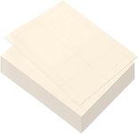 100 Pack Blank Business Card Paper 
