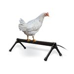 K&H Pet Products Thermo-Chicken Heated Perch Gray 26" 40W