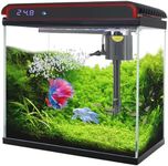 20 Gallon Large Fish Tank, Betta Fi