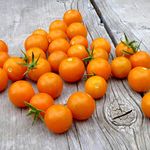 Suttons Tomato Seeds - F1 Sungold, Tomato Seeds, Lycopersicon esculentum, 10 Seeds per Pack, Grow Your own, Ideal for beds, Borders, Patio pots, containers, Greenhouse.