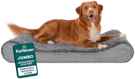 FurHaven P