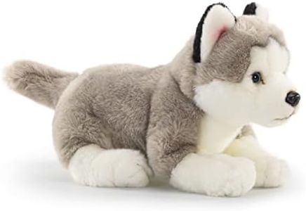 Dog Stuffe