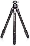 Benro Tortoise Series TTOR34C Columnless #3 Carbon Fibre Tripod and GX35 Head 4 Sections Head