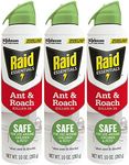 Raid Essentials Ant & Roach Killer Aerosol Spray, Child & Pet Safe, Kills Insects Quickly, for Indoor Use, 10 oz (Pack of 3)