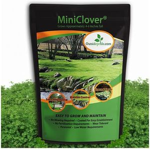 Outsidepride Perennial White MiniClover Seed - 5 lb. Dwarf, Small-Leaved, Drought & Wear-Tolerant Micro Clover Seeds for Lawn, Ideal Low-Maintenance & Easy to Grow Ground Cover Seeds for Home Yard
