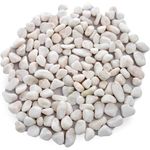 Hug A Plant | White Colour 1KG Pebble Stones for Home Decorative|Vase Fillers| Aquarium Fish Tank |Lawn|Multi-Purpose