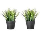 IKEA Artificial Potted Plant, Wheat Grass, 7.75 Inch (2)