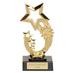 Trophies Plus Medals Rising Star Gold Trophy On A Black Plastic Base 17cm (6 3/4") FREE ENGRAVING