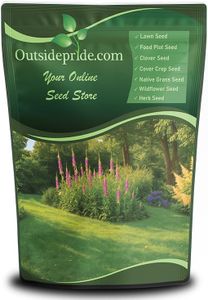 Outsidepride Sheeps Fine Fescue Grass Seed - 50 Lbs. Perennial Heat & Drought Tolerant Dense Green Lawn Seed, Traffic-Resistant Turf for Shaded Environments w/OptiGrowth Coating for Seed Enhancement