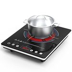 Single Electric Burner For Canning