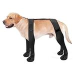 Dog Boot Leggings, Dog Rubber Boots with Legging Pants Rain Proof Dog Boots Paw Protectors/Adjustable Dog Pants for Winter Snowy Day Outdoor Walking,M